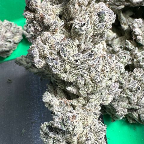 Misc x (LA Kush x Zkittles) #29 25.69g growlog timeline photo