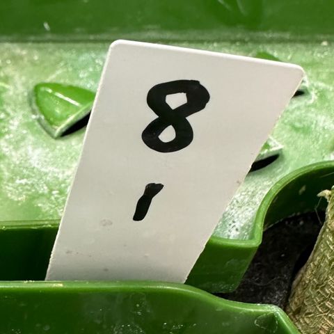 MiscxLAZ #08 C #1 growlog timeline photo