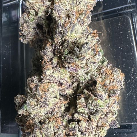 CxLAZ #03 45.52g growlog timeline photo