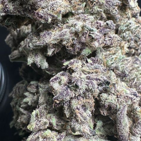CxLAZ #03 45.52g growlog timeline photo