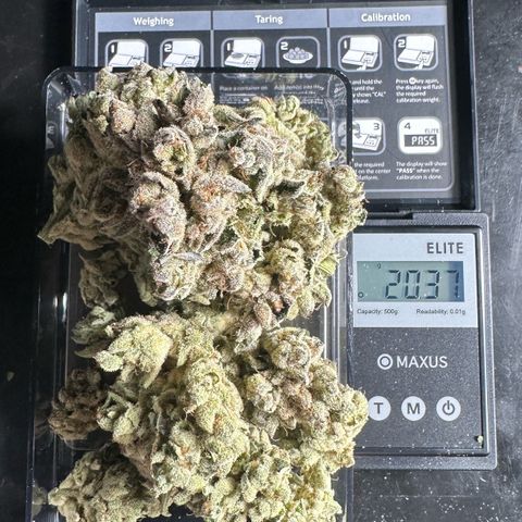 Misc x (LA Kush x Zkittles) #26 60.7g growlog timeline photo