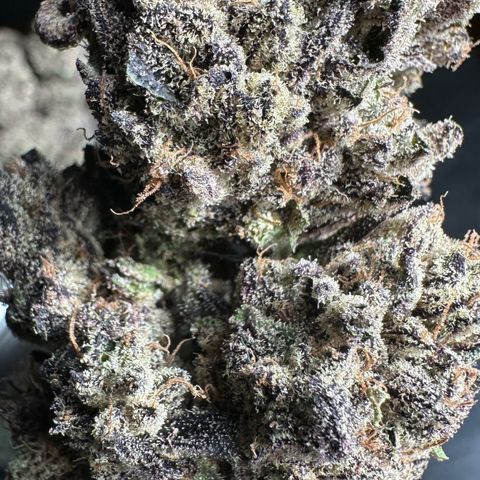 Misc x (LA Kush x Zkittles) #22 34.14g growlog timeline photo