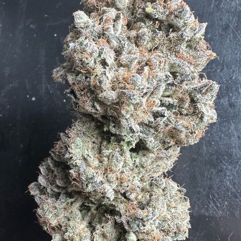 CxLAZ #24 37.13g growlog timeline photo