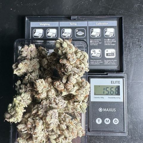 Misc x (LA Kush x Zkittles) #34 15.68g growlog timeline photo