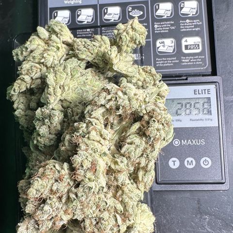 CxLAZ #06 growlog timeline photo