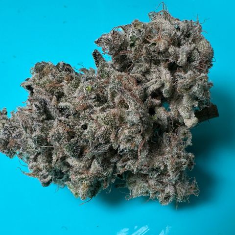 CxLAZ #15 52g growlog photo: Seeded bud
