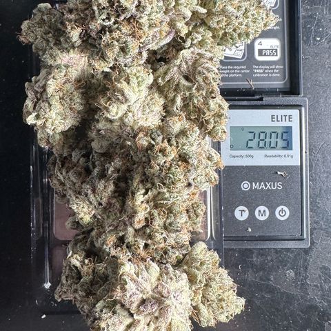 CxLAZ #31 58.75g growlog photo: Trimmed and moved to jar