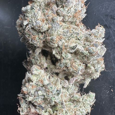 CxLAZ #24 37.13g growlog timeline photo