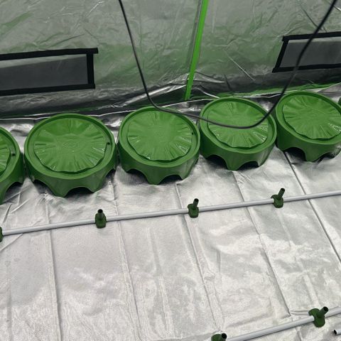 CxLAZ #16 50.72g growlog timeline photo