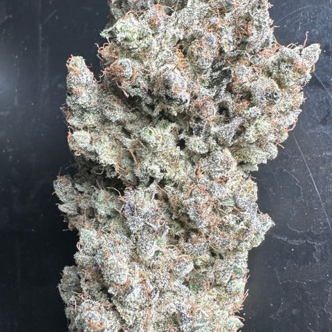 CxLAZ #24 37.13g growlog timeline photo