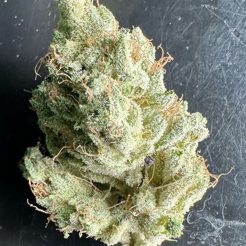 Misc x (LA Kush x Zkittles) #35 28.55g growlog timeline photo