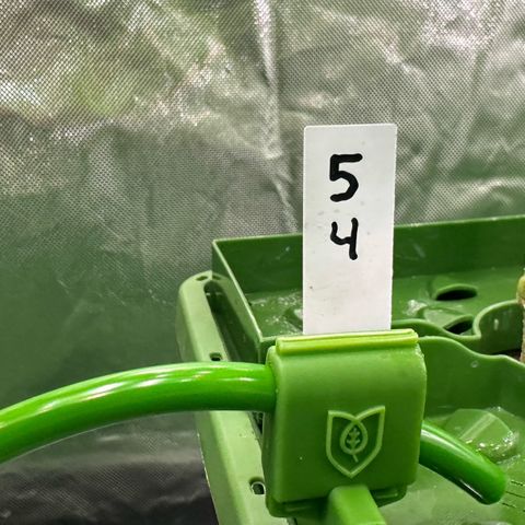 MiscxLAZ 5-4 34.63g growlog timeline photo