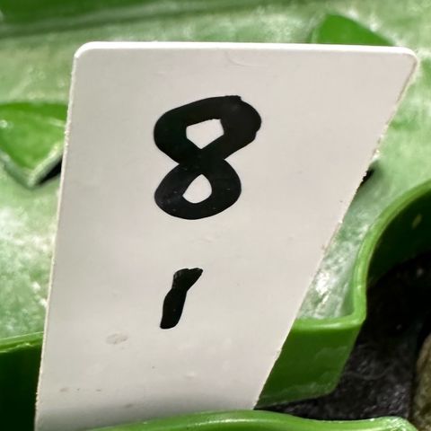 MiscxLAZ #08 C #1 growlog timeline photo