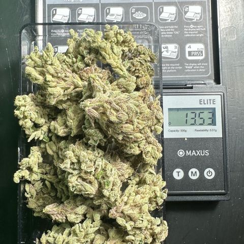 Misc x (LA Kush x Zkittles) #28 13.53g growlog timeline photo