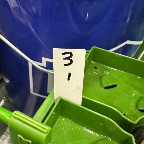 CxLAZ #03 C #1 58.58g growlog timeline photo
