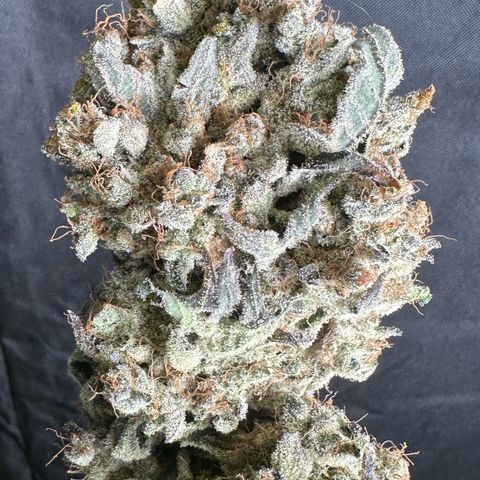 CxLAZ #24 37.13g growlog photo: Moved to plastic bag