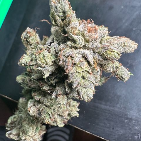 Misc x (LA Kush x Zkittles) #23 28.19g growlog photo: Fox tailing