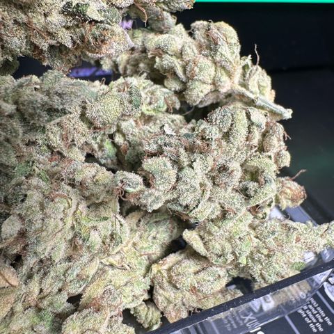 Misc x (LA Kush x Zkittles) #23 28.19g growlog timeline photo