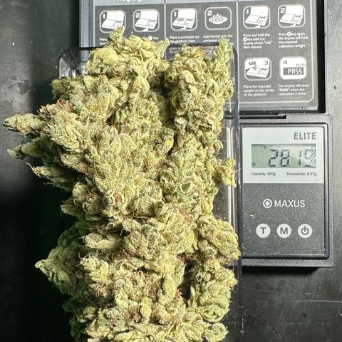 Misc x (LA Kush x Zkittles) #23 28.19g growlog timeline photo