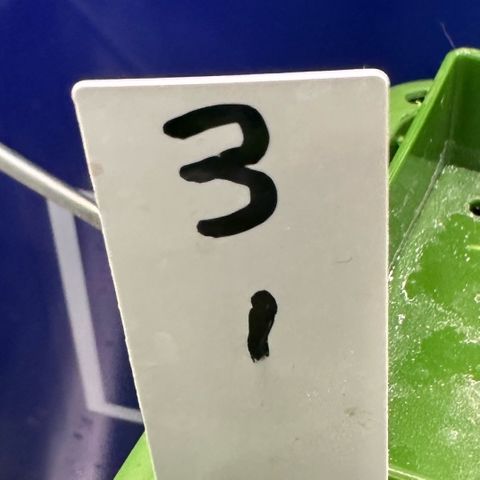CxLAZ #03 C #1 58.58g growlog timeline photo
