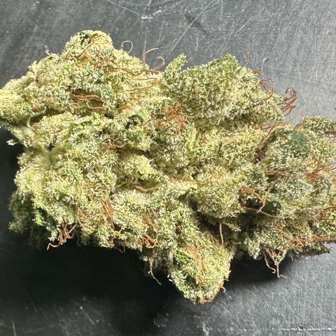 Misc x (LA Kush x Zkittles) #23 28.19g growlog timeline photo