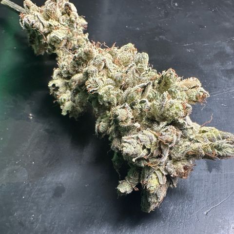 Misc x (LA Kush x Zkittles) #23 28.19g growlog timeline photo