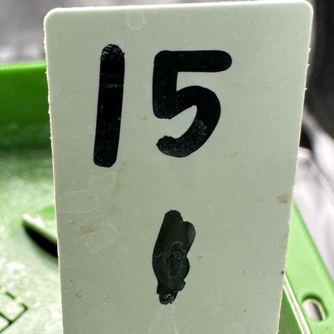 CxLAZ #15 C #1 growlog timeline photo