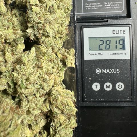 Misc x (LA Kush x Zkittles) #23 28.19g growlog timeline photo