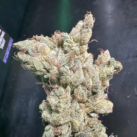 Misc x (LA Kush x Zkittles) #23 28.19g growlog photo: Fox tail