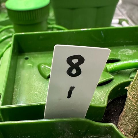 MiscxLAZ #08 C #1 growlog timeline photo