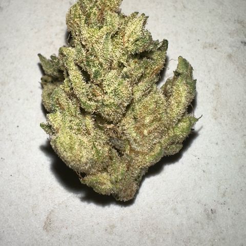Misc x (LA Kush x Zkittles) #26 60.7g growlog timeline photo