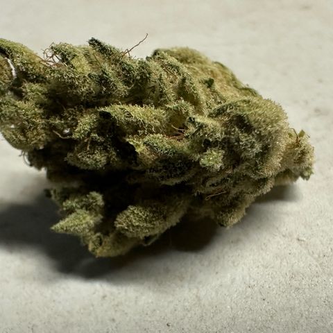 Misc x (LA Kush x Zkittles) #26 60.7g growlog timeline photo