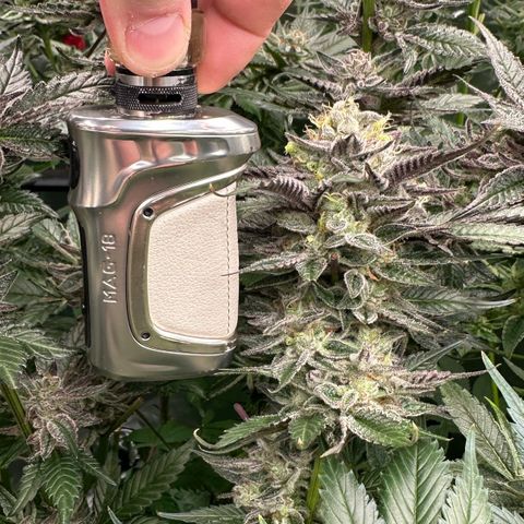 CxLAZ #03 C #1 58.58g growlog timeline photo