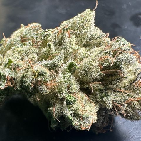 Misc x (LA Kush x Zkittles) #23 28.19g growlog timeline photo