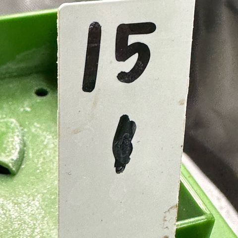 CxLAZ #15 C #1 growlog timeline photo