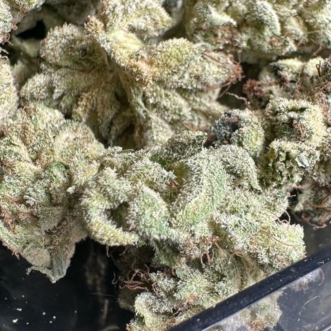 Misc x (LA Kush x Zkittles) #23 28.19g growlog timeline photo