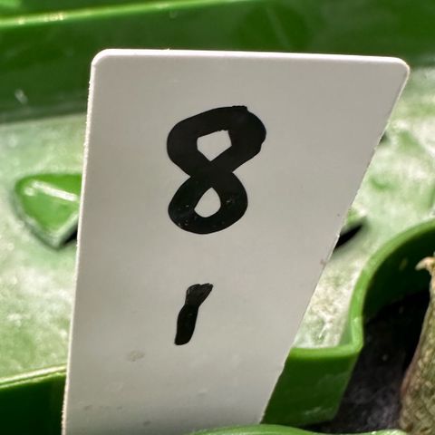 MiscxLAZ #08 C #1 growlog timeline photo