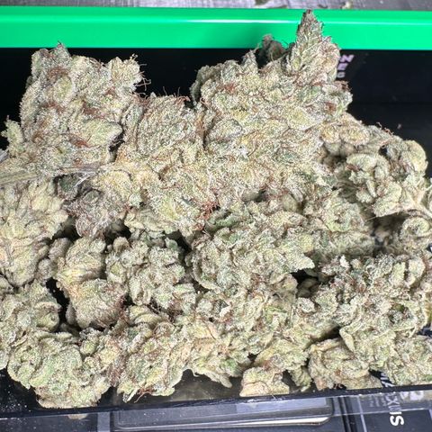 Misc x (LA Kush x Zkittles) #23 28.19g growlog timeline photo