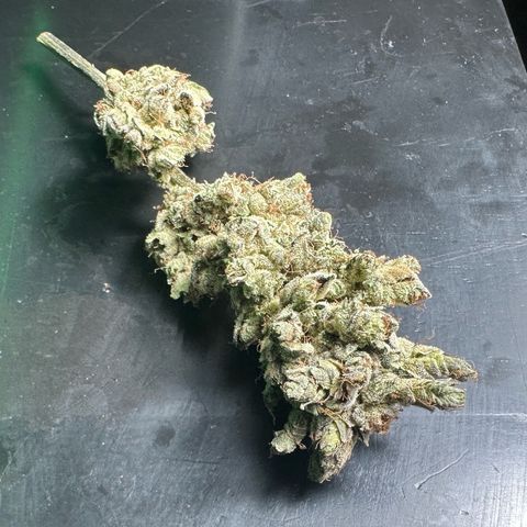Misc x (LA Kush x Zkittles) #23 28.19g growlog timeline photo