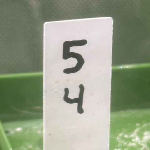 MiscxLAZ 5-4 34.63g growlog timeline photo