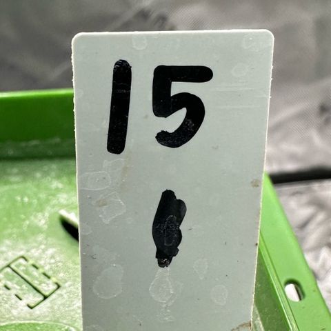 CxLAZ #15 C #1 growlog timeline photo