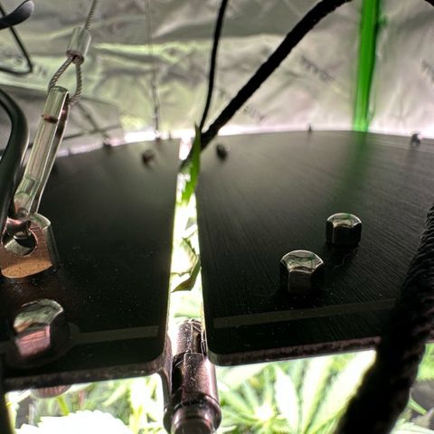 CxLAZ #15 C #1 growlog timeline photo