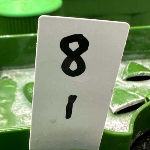 MiscxLAZ #08 C #1 growlog timeline photo