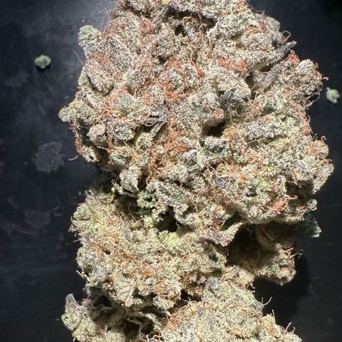 CxLAZ #24 37.13g growlog photo: Moved to bag