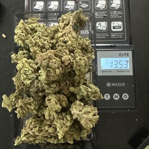 Misc x (LA Kush x Zkittles) #28 13.53g growlog photo: Moved to bag