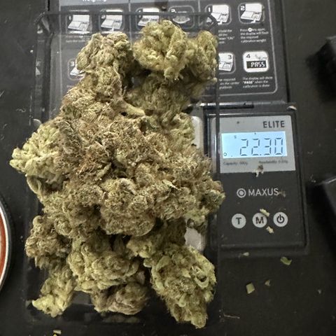 CxLAZ #11 50.28g growlog photo: Moved to bag