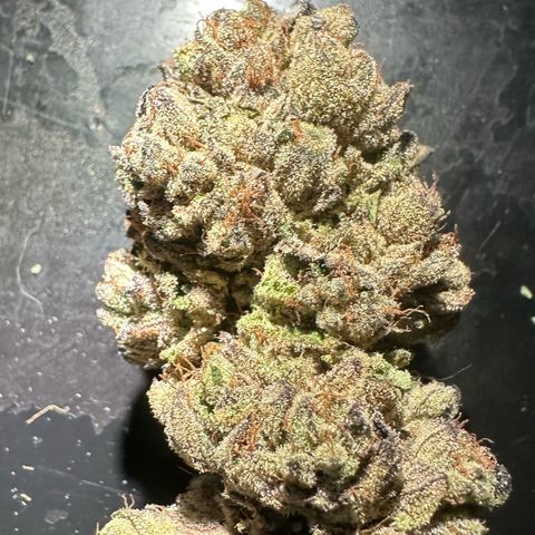 Misc x (LA Kush x Zkittles) #27 33.12g growlog photo: Moved to bag