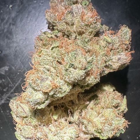 Misc x (LA Kush x Zkittles) #27 33.12g growlog photo: Moved to bag