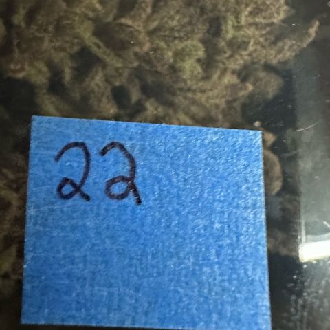 MiscxLAZ #22 C 42.33g growlog timeline photo