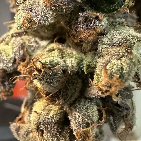 CxLAZ #03 C #1 58.58g growlog timeline photo